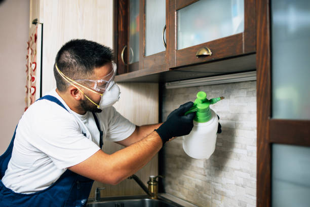Best Pest Inspection Near Me  in Gulf Park Estates, MS