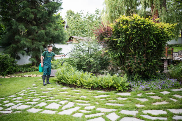 Best Residential Pest Control  in Gulf Park Estates, MS