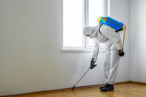 Best Affordable Pest Control Services  in Gulf Park Estates, MS
