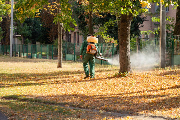 Best Ant Control Services  in Gulf Park Estates, MS