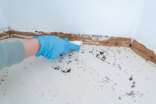 Professional Pest Control in Gulf Park Estates, MS